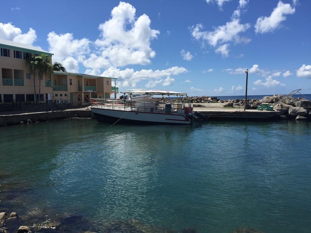 Bird Rock Beach Hotel Basseterre Eksteriør billede